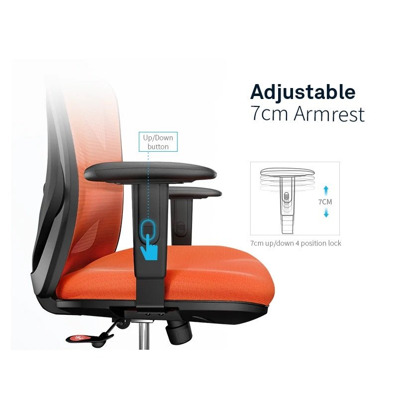 Sihoo M18 Ergonomic Office Chair, Computer Chair Breathable Lumbar Support