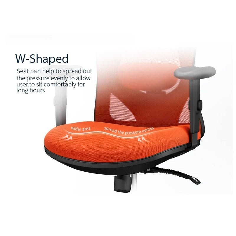 Sihoo M18 Ergonomic Office Chair, Computer Chair Breathable Lumbar Support