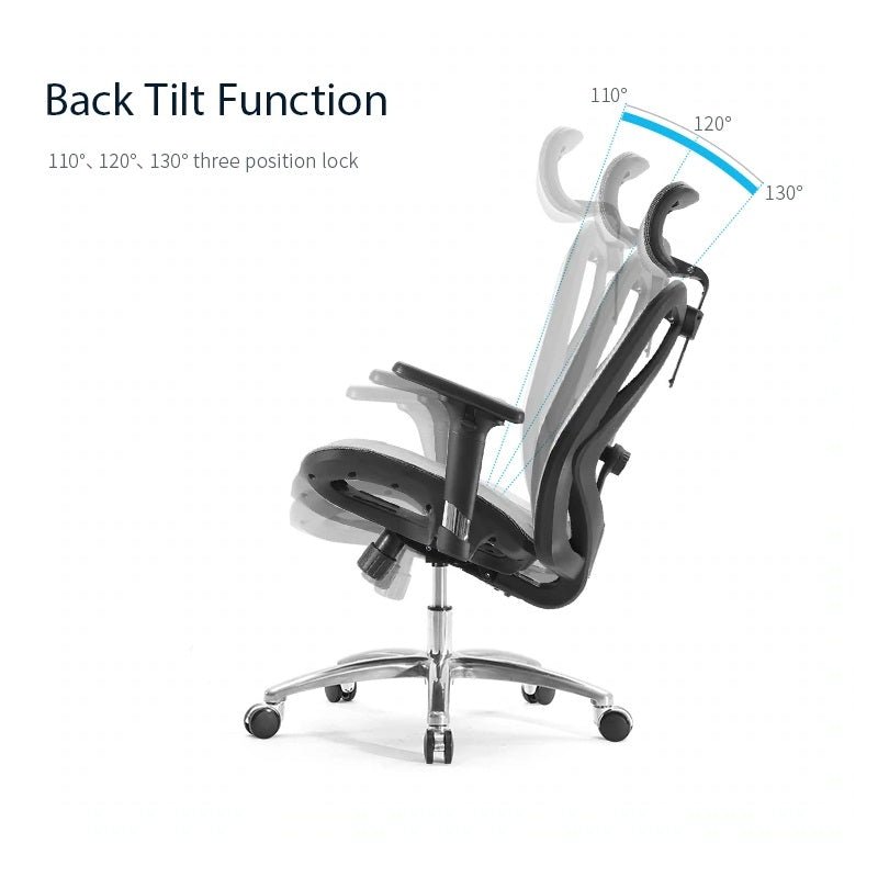 Sihoo M57 Ergonomic Office Chair, Computer Chair Breathable Lumbar Support Grey 