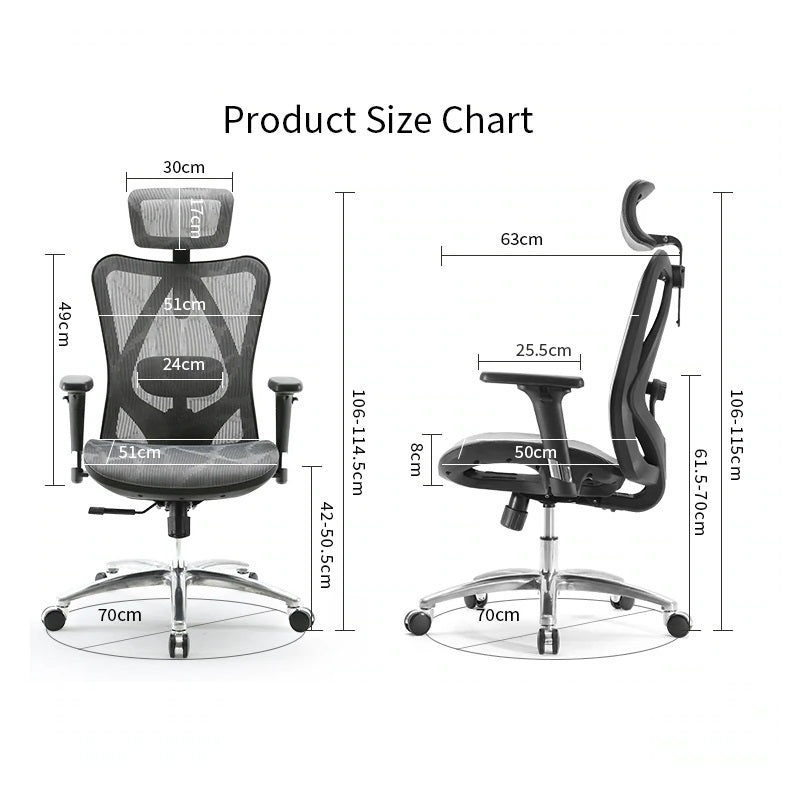 Sihoo M57 Ergonomic Office Chair, Computer Chair Breathable Lumbar Support Grey 