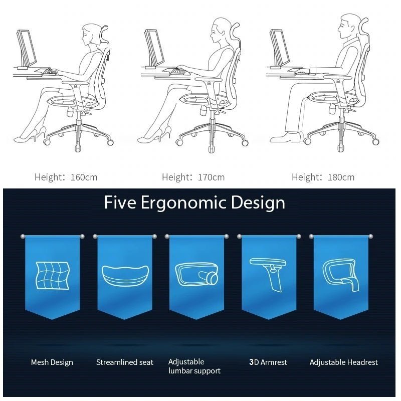 Sihoo M57 Ergonomic Office Chair, Computer Chair Breathable Lumbar Support Grey 