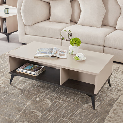 Coffee Table 2 Open Storage Cabinet